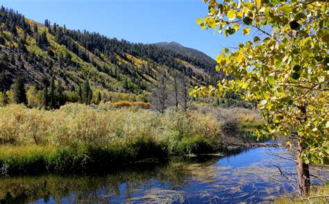 Green Creek | Visit Mono County