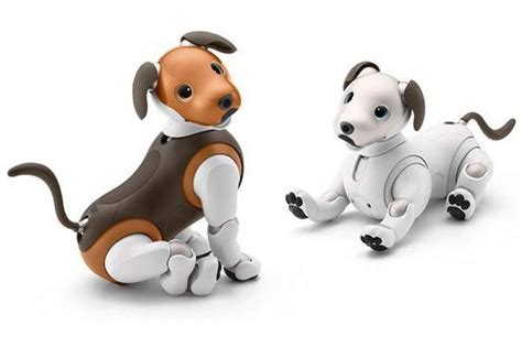 Sony Announces Limited Edition 'Chocolate' Aibo Robot Dog | eTeknix