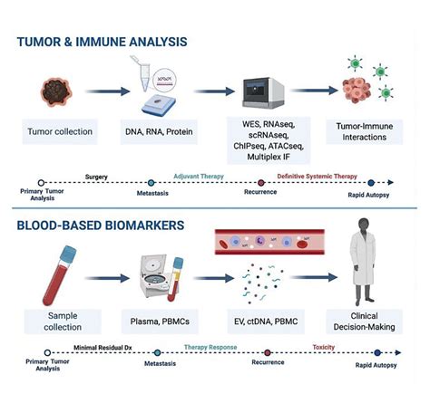 Predictive Biomarkers Brighten the Precision