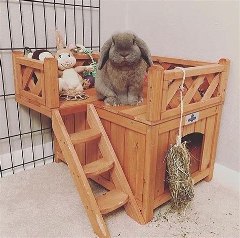 The Best Selling Wooden Fort for Pet Bunnies & Rabbits is at Bunny ...