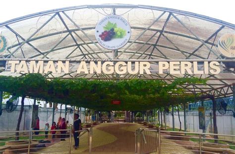 Taman Anggur Perlis (Perlis Vineyard), Perlis, Malaysia | Holidify