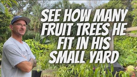 Growing Fruit Trees In Small Spaces - YouTube