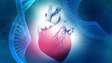 Genetic paths to predicting heart disease | NHLBI, NIH