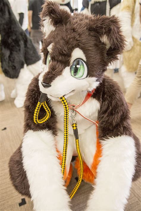 cute fursuit | Cute fursuit, Fursuit, Cute fursuits