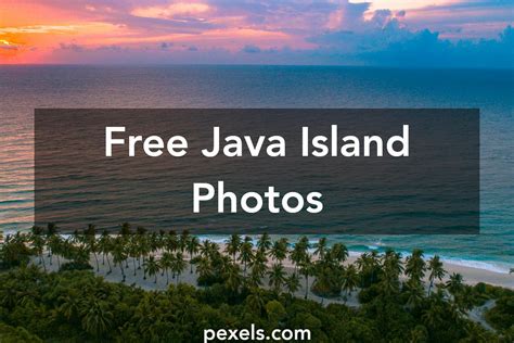 500+ Engaging Java Island Photos · Pexels · Free Stock Photos