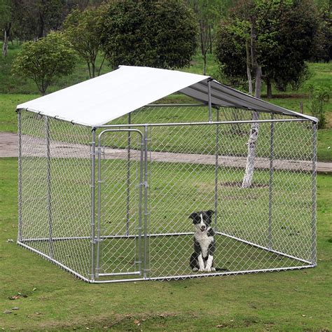 10 Must-Have Dog Cages for Your Outdoor Adventures: A Comprehensive ...