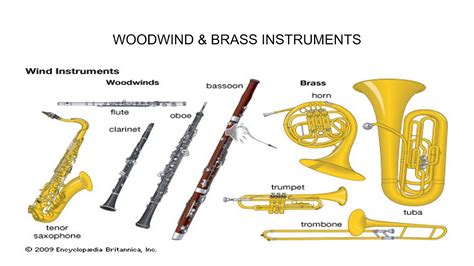 The History of Musical Instruments - YouTube