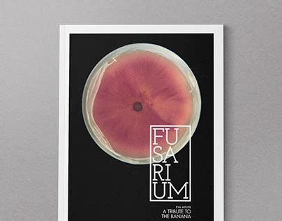 Fusarium Projects :: Photos, videos, logos, illustrations and branding :: Behance