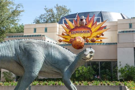 Complete Guide to Rides at Disney's Animal Kingdom