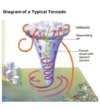 Hurricanes and Tornadoes by Teaching Science Well - Science Resources