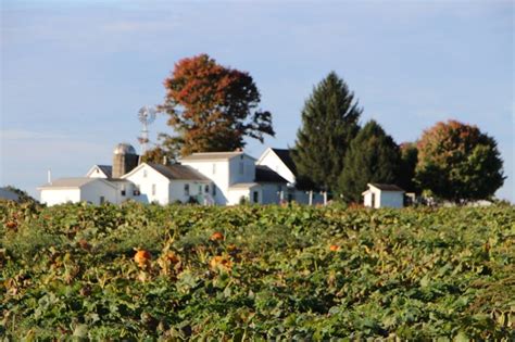 Best Amish Towns In Pennsylvania: 6 Bucket List-Worthy Towns