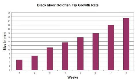 Goldfish Growth Rates depend on food, space and environment