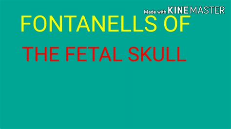 MEDICAL STUDY-FONTANELLES OF THE FETAL SKULL - YouTube