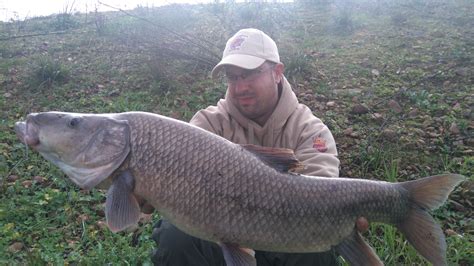 Giant Comizo Barbel From Spain – Total Fishing