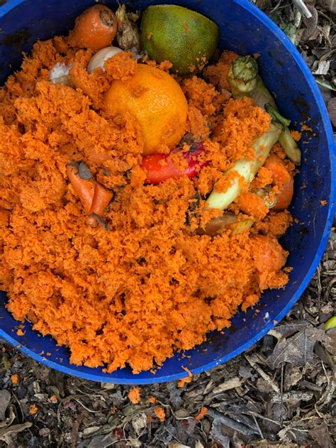 The SFG Journey:Vermicompost Garden Bucket(VGB): How fast do worms eat in a VGB experiment - Page 2