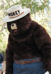 smokey the bear costume - Google Search | Bear costume, Smokey the ...