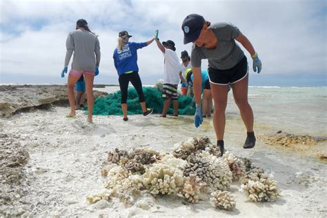 How Reducing Litter Can Help Save Coral Reefs | OR&R's Marine Debris ...