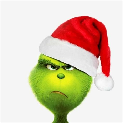 Baby Grinch Costume, Grinch Costumes, Homemade Halloween Costumes, The ...