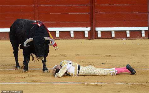 Bullseye! Matador is gored in the buttocks and lifted high in the air ...