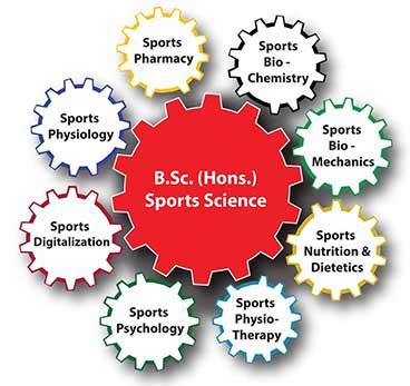 B sports science - niclikos