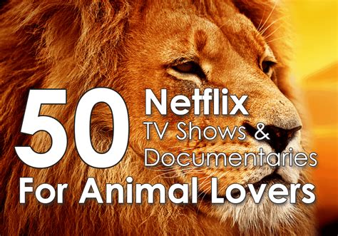 50 Netflix Shows & Documentaries For Animal Lovers