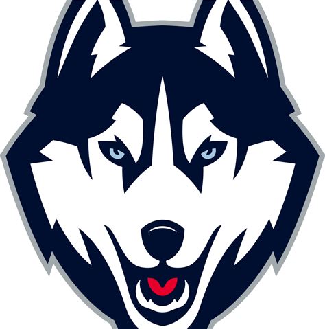 Connecticut Huskies - Uconn Husky Logo Clipart - Full Size Clipart ...