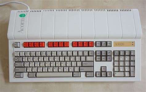 Acorn archimedes - canvaspoliz