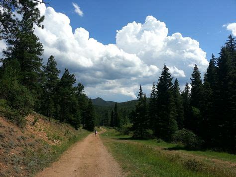 10 Conifer, CO ideas | conifers, conifer colorado, colorado