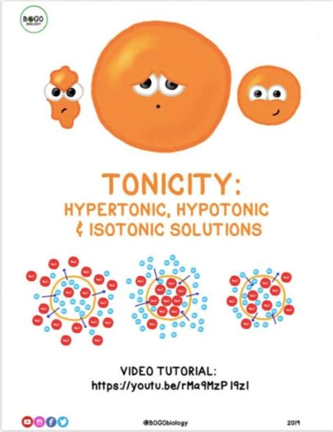 hypotonic hypertonic isotonic worksheet