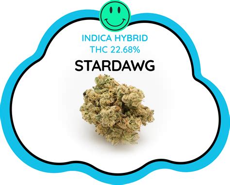 Stardawg Review - Cloud Nine Thailand