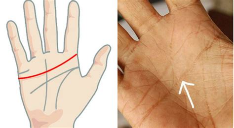 Heart line in palmistry: Here's what it reveals about your love life