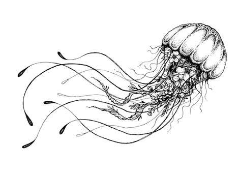 Premium Vector | Hand drawn doodle jellyfish