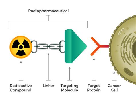 Radiopharmaceuticals Emerging as New Cancer Therapy - NCI