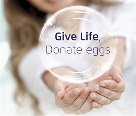 What Is Egg Donation And The Steps Involved In It | Become a Donor