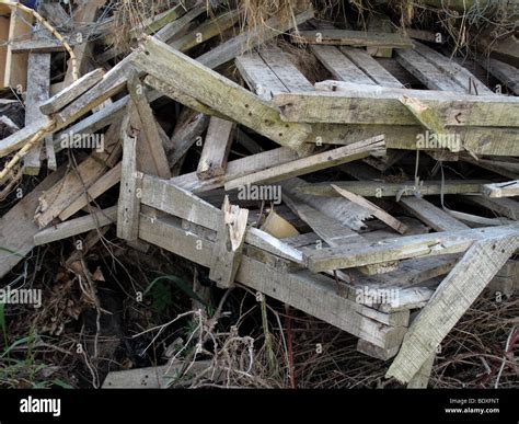 Broken pallets on a rubbish heap for burning Stock Photo - Alamy