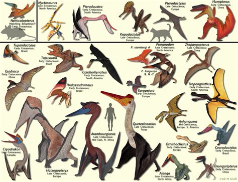 Name Of Flying Dinosaurs Types