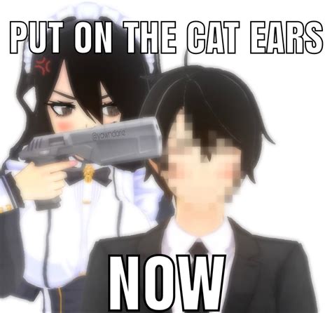 Put on the cat ears | Funny memes, Stupid memes, Cute memes