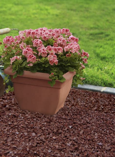 Here’s How to Apply Mulch to Your Garden the Right Way! – Better ...