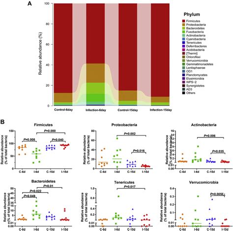 D-GPV infection alters the composition of intestinal microbiota. (A)... | Download Scientific ...