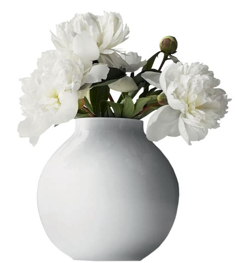 All 98+ Images Which Style Of Vase Had A Black Background? Sharp