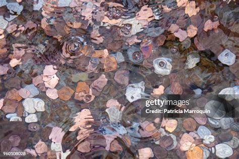 95 Wishing Well Coins Stock Photos, High-Res Pictures, and Images ...