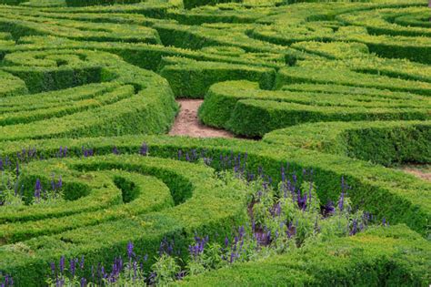 48 "Mind-Boggling" Hedge Maze & Garden Labyrinth Designs (Pictures)