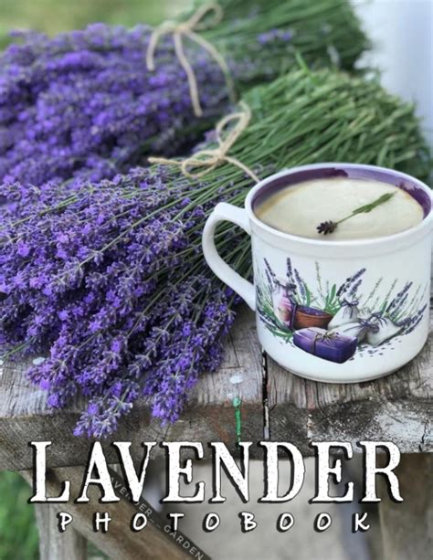 A Photo Book Of Lavender: A Great Gift With Compelling And Impressive ...