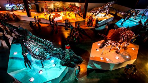 20 Best Science Museums for Kids in the U.S. - Mommy Nearest