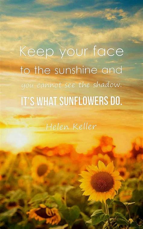 Quotes On Sunflower Wallpapers - Wallpaper Cave