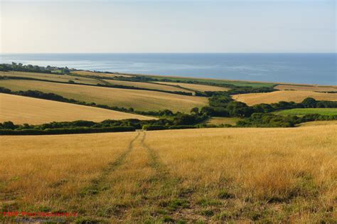 The Dorset and Devon Coast Path 2018 – Day 2 – The Dorset Rambler