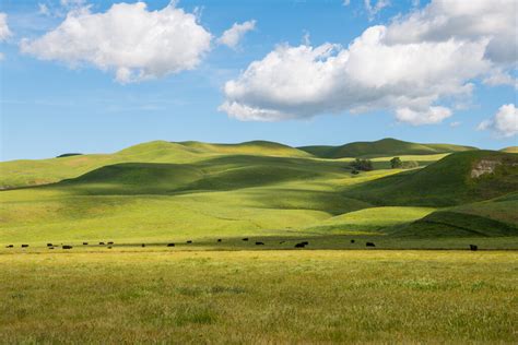 Best Place to Buy A Ranch in California - Land Investment Blog