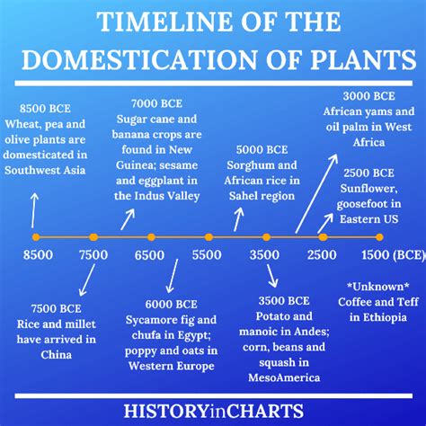 Domestication Of Animals Timeline