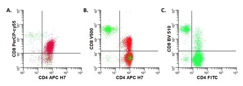 International Clinical Cytometry Society