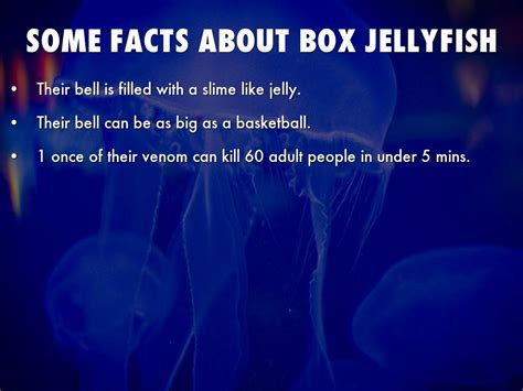 jellyfish facts